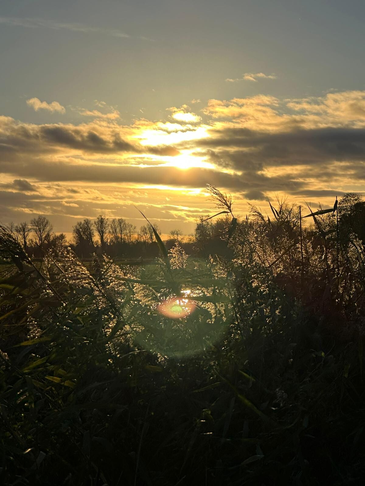 Sunset, late 2023